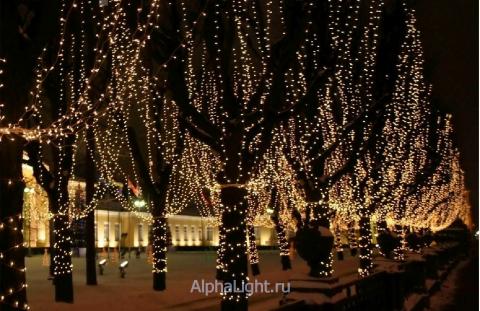 Световое оформление деревьев